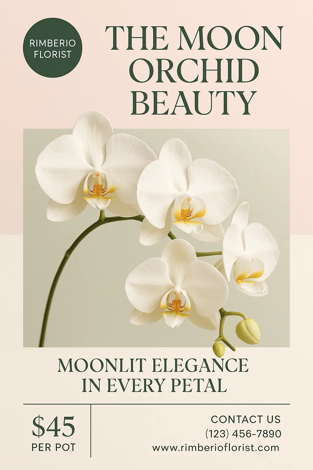 Elegant flyer template featuring white orchids with price and contact details