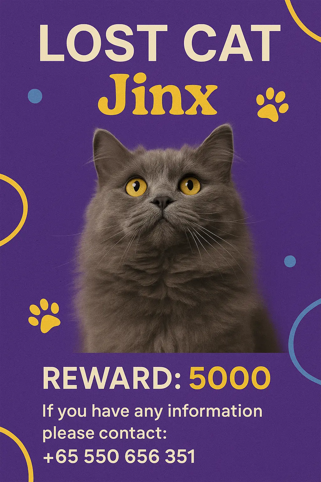 Lost Cat Poster template with grey cat, yellow eyes, and reward details