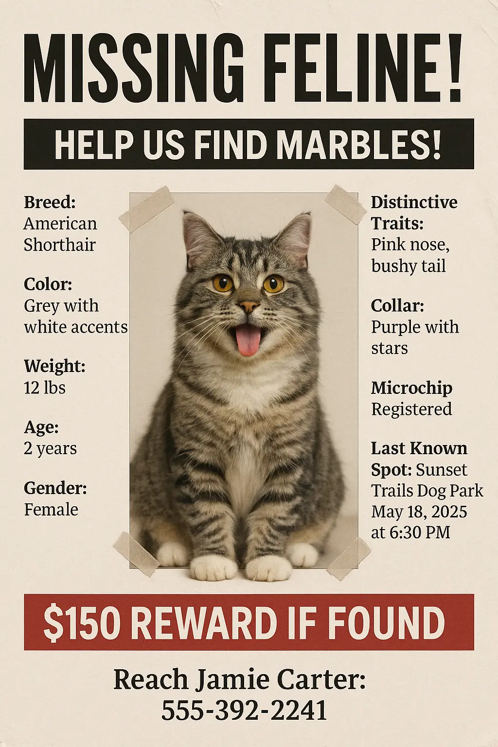 Lost Cat Poster template with grey tabby photo and reward details
