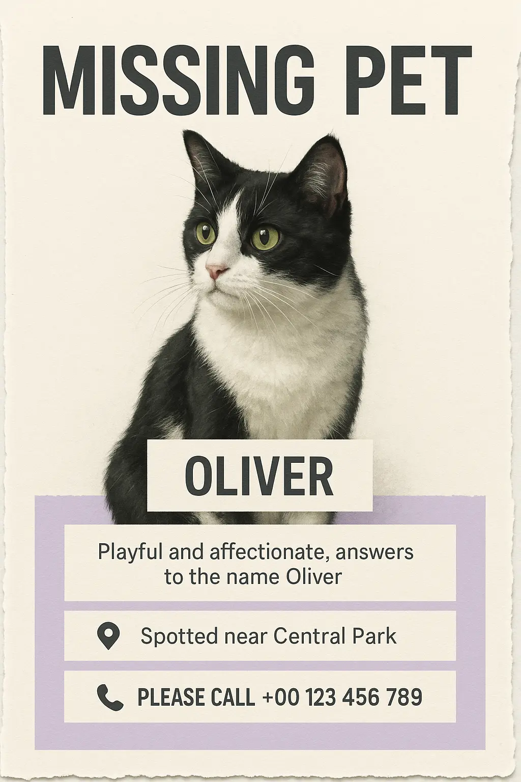 Lost Cat Poster template featuring a black and white cat with green eyes