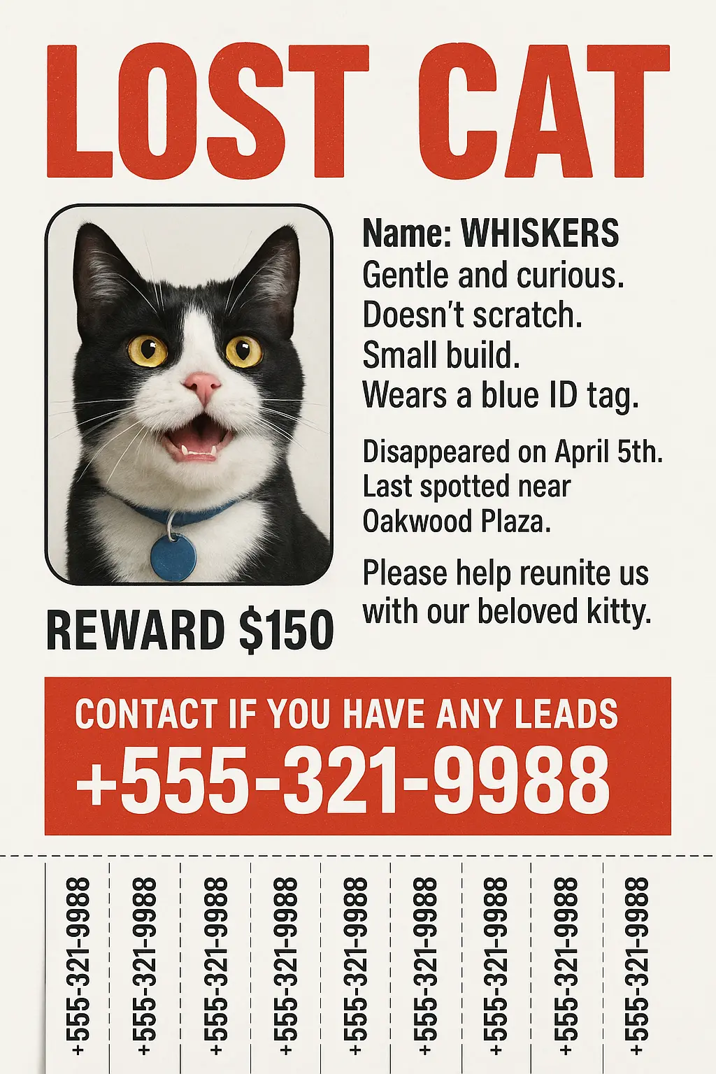 Lost Cat Poster template with photo, red accents, and contact info