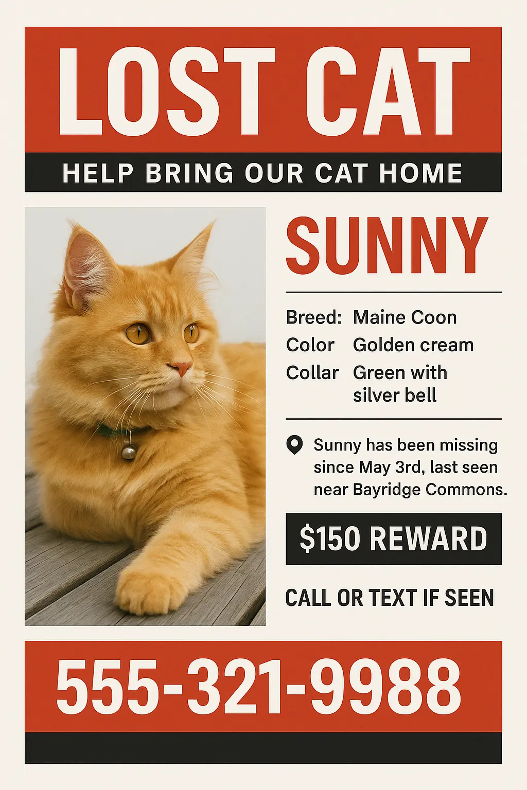 Lost Cat Poster template with bold red and white layout