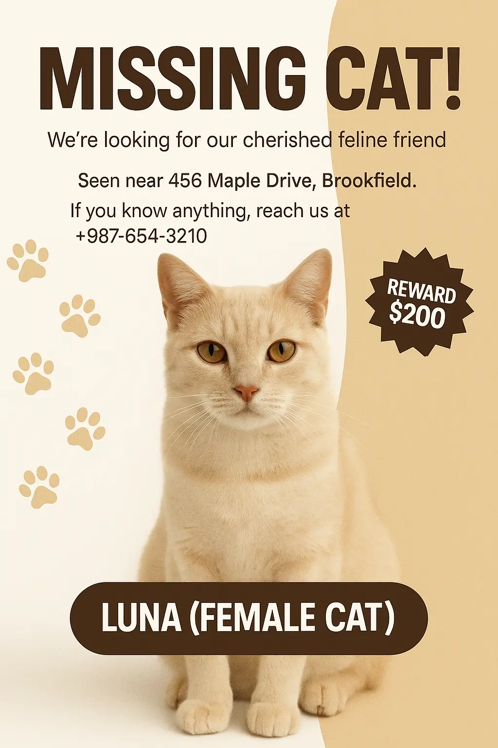 Lost Cat Poster template with cream cat and reward details