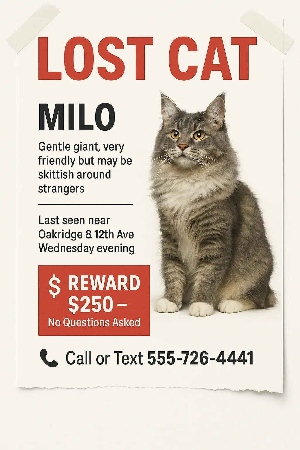 Lost Cat Poster template with red headline and Maine Coon photo