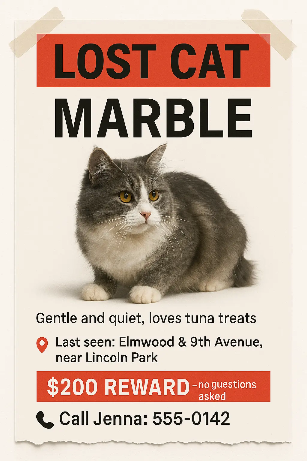 Lost Cat Poster template with bold red accents and tape edges