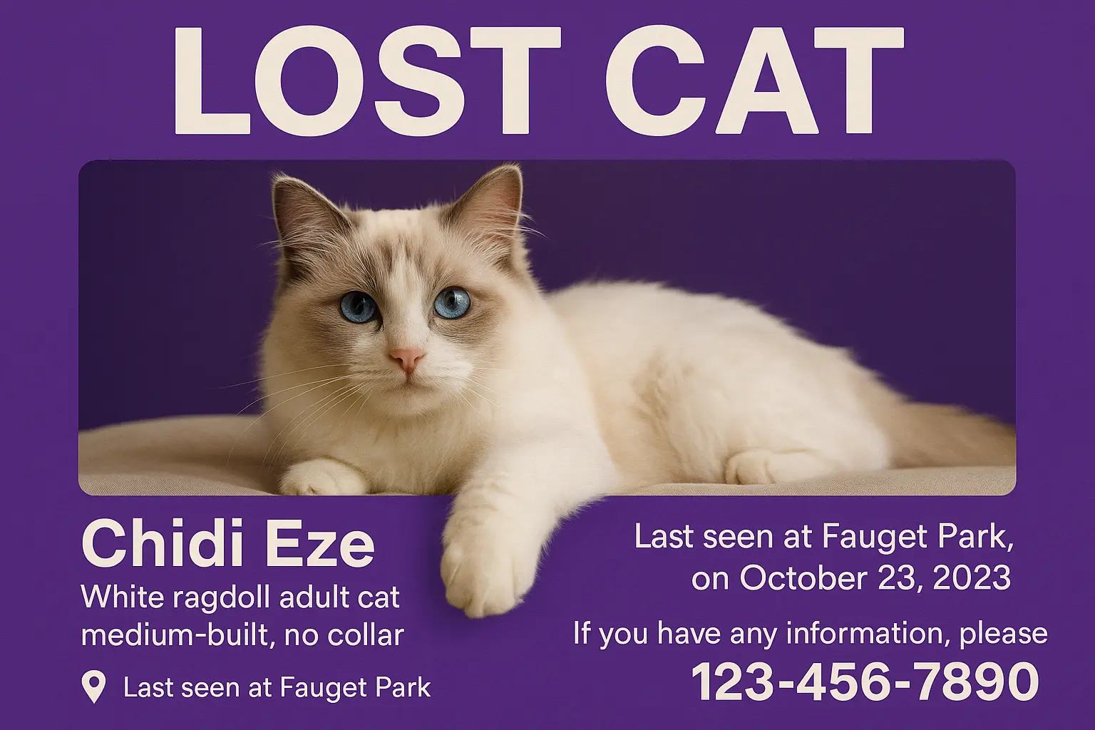 Lost Cat Poster template featuring Havana Brown cat, teal background, and contact details