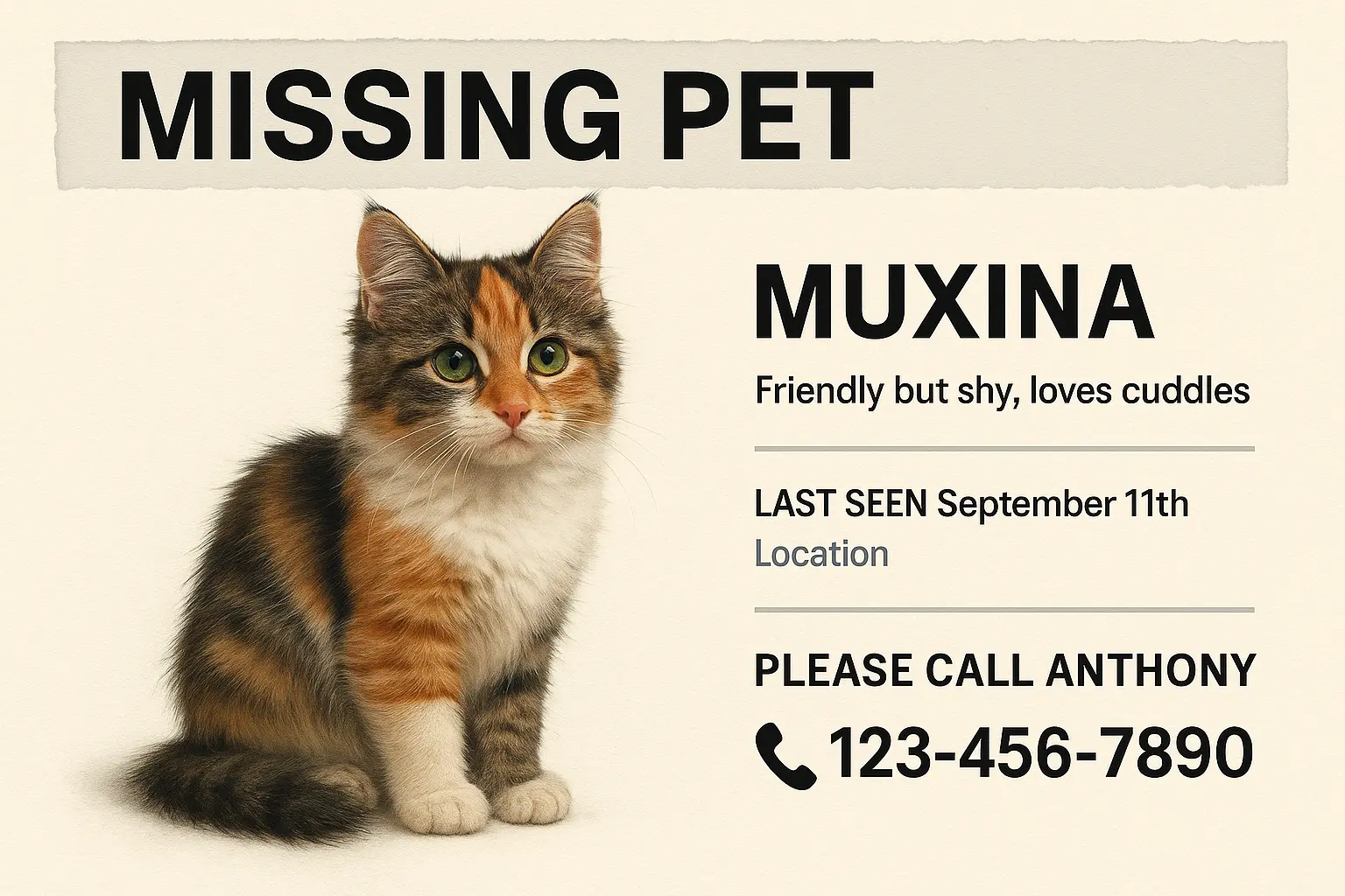 Lost Cat Poster template with pink swirls and orange tabby cat