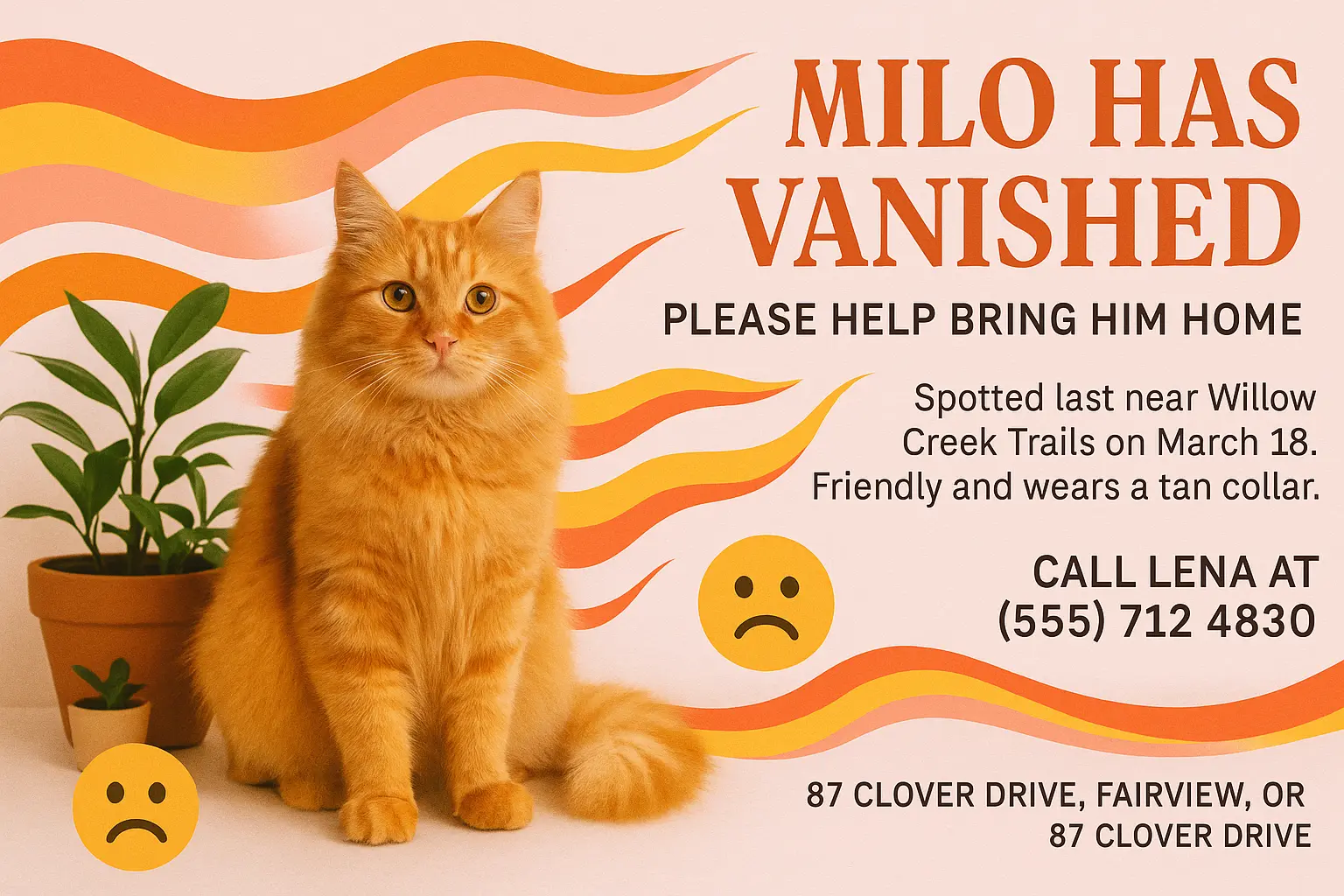 Lost Cat Poster template with black and white cat, reward details