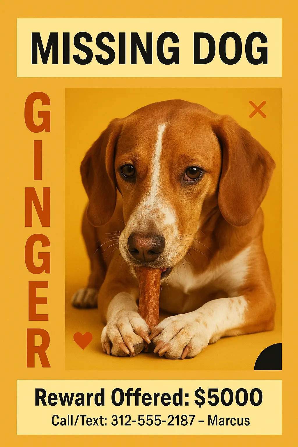 Lost Dog Poster template with close-up hound on yellow background