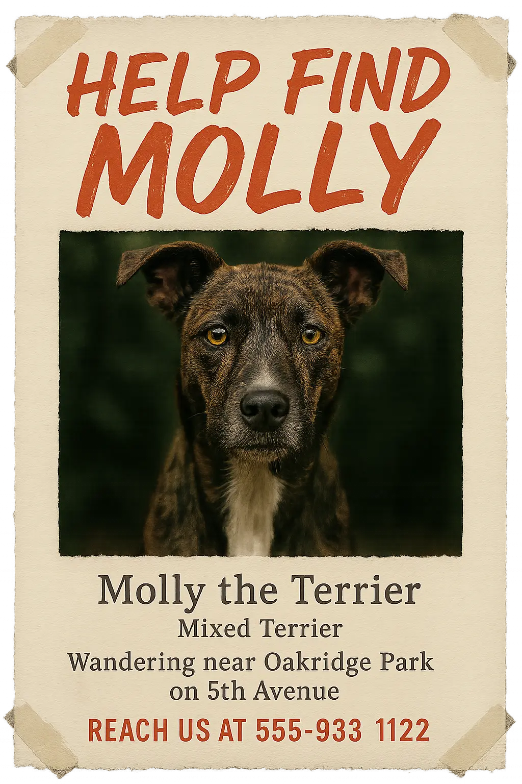 Lost Dog Poster template with close-up terrier photo and bold red headline