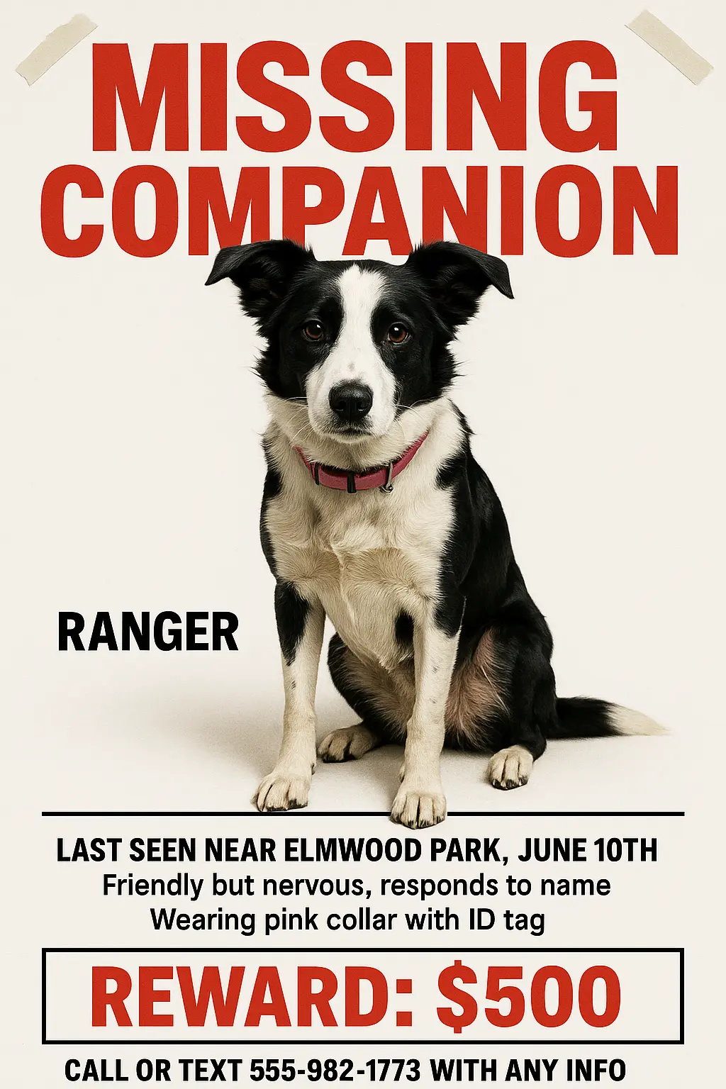 Lost Dog Poster template with red headline and Border Collie