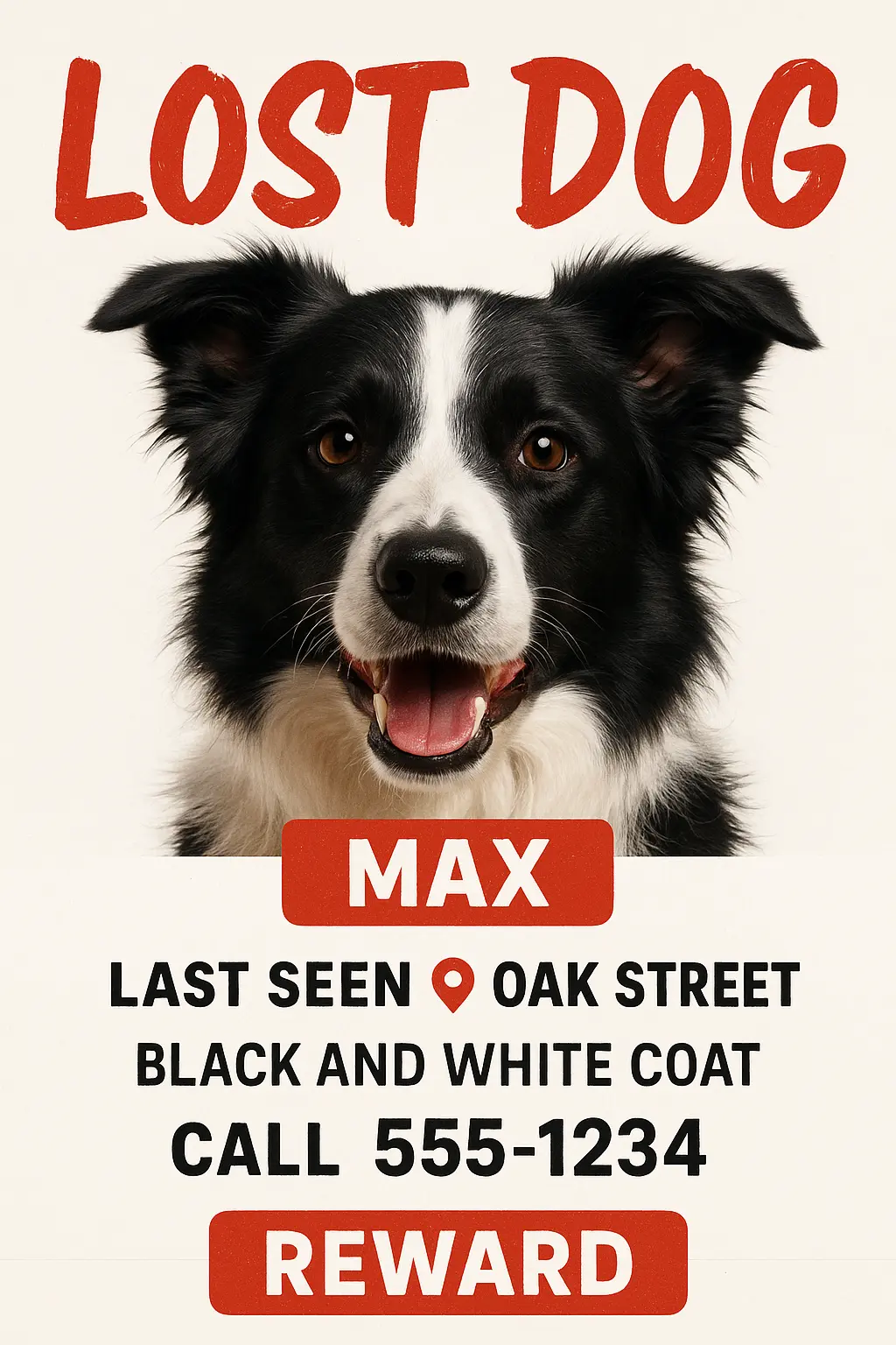 Lost Dog Poster template featuring a Border Collie with bold red text