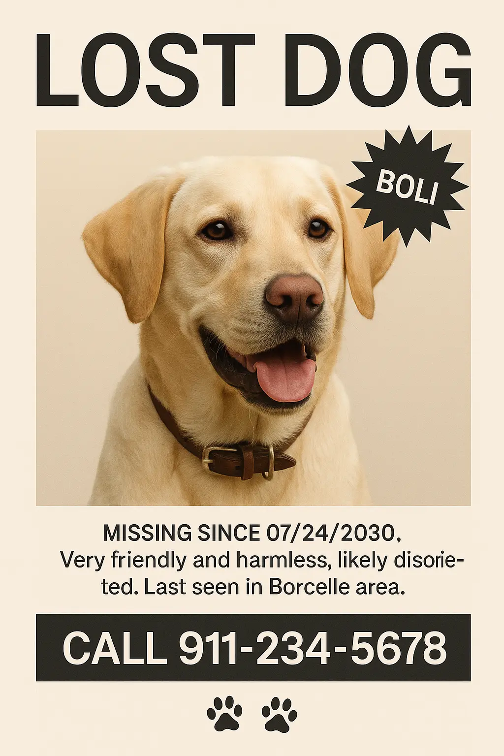 Lost Dog Poster template with a Labrador Retriever named Boli, lost in Borcelle.