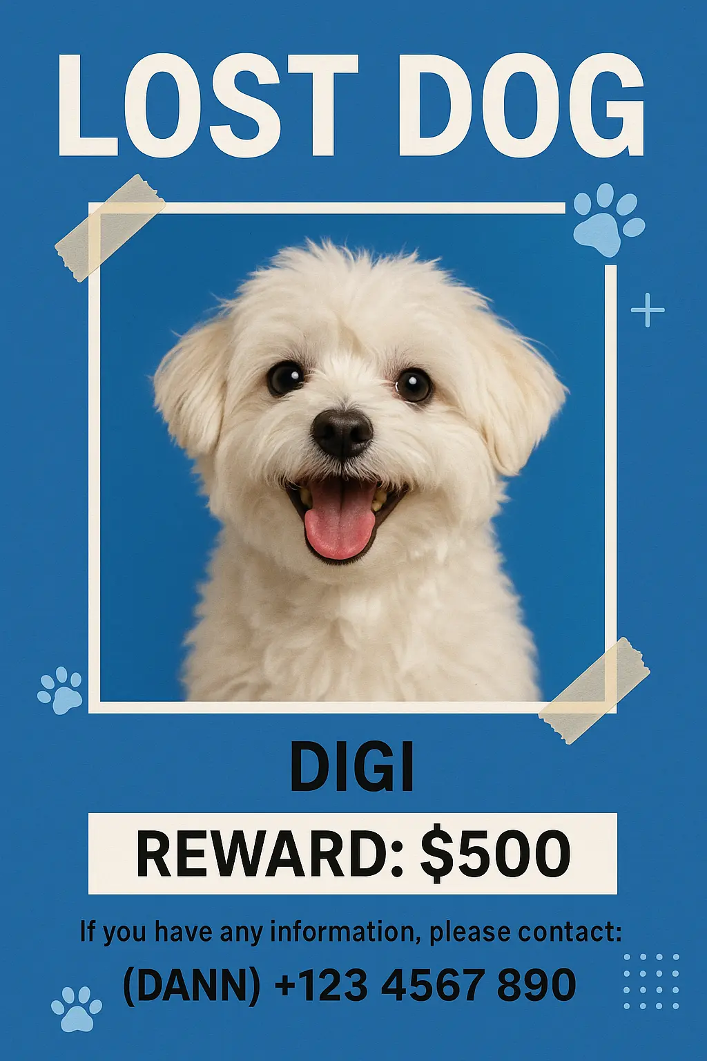 Lost Dog Poster template with small white dog and contact info