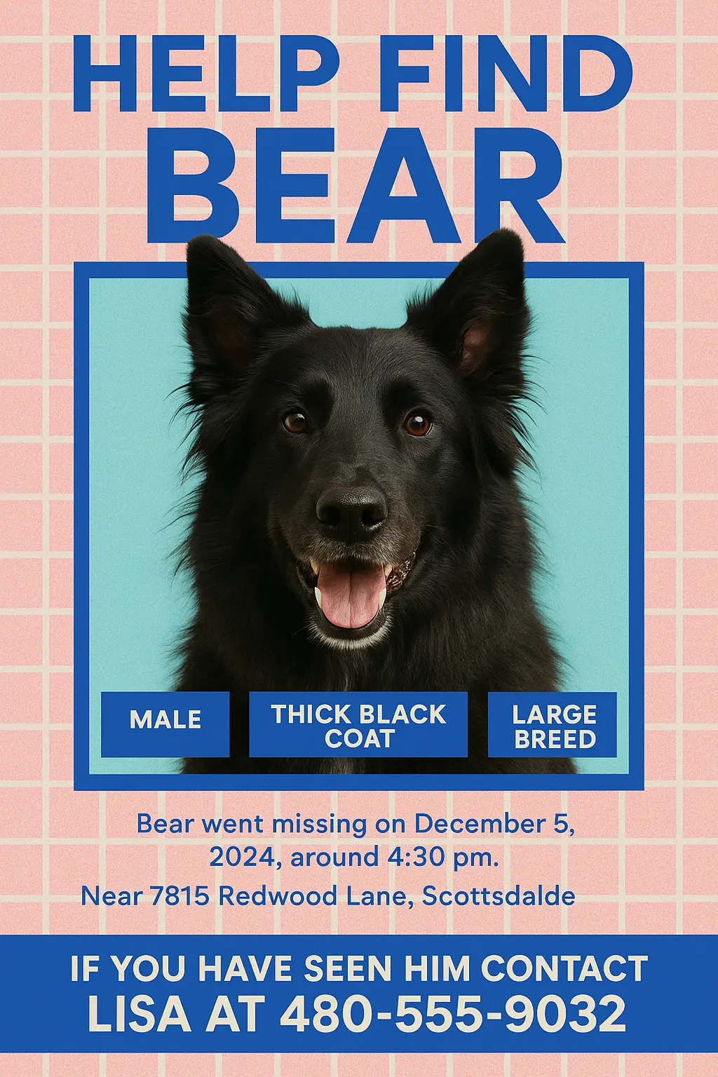 Lost Dog Poster template with bold blue text and grid background