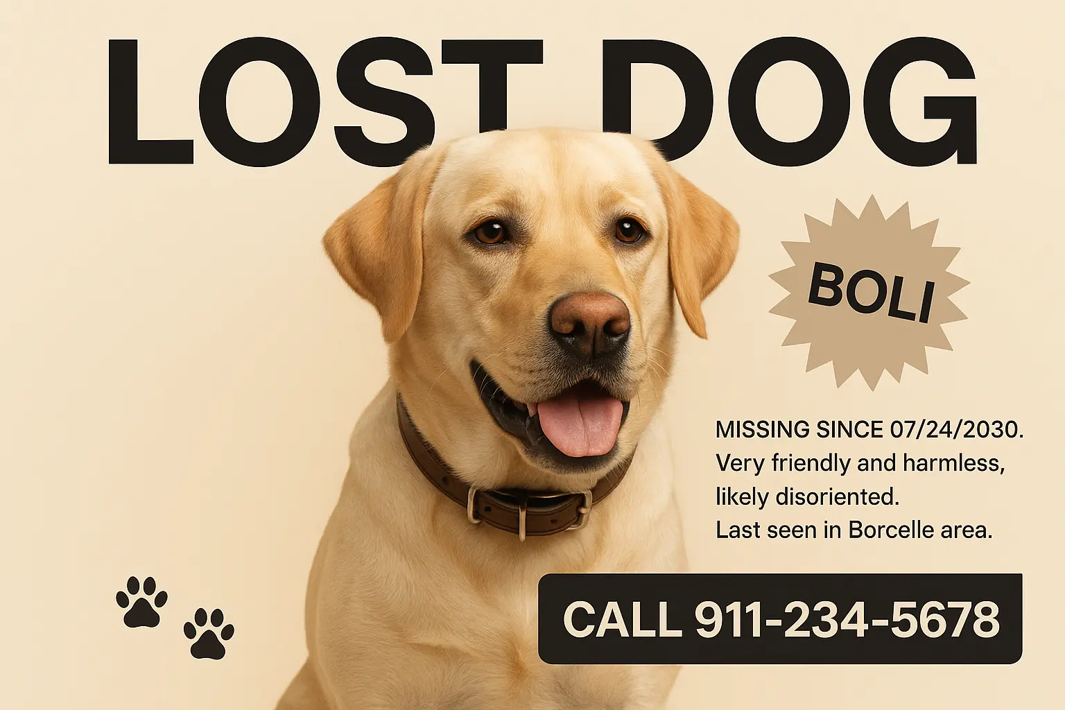 Lost Dog Poster template featuring a medium-sized brown and white dog with white paws.