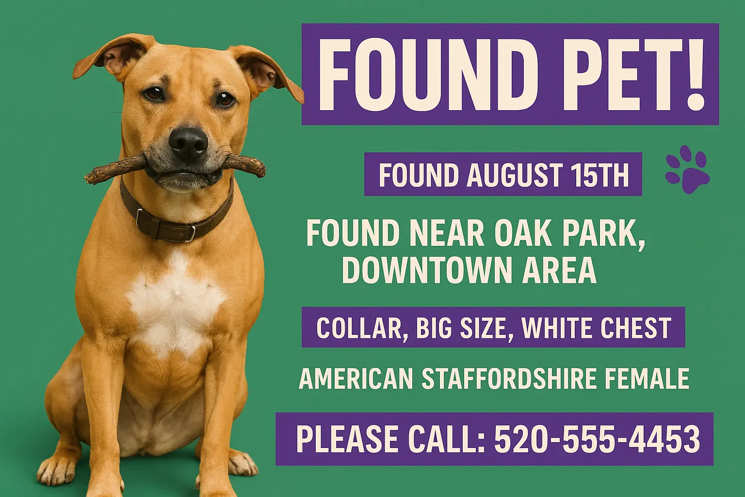 Lost Dog Poster template with a Labrador Retriever named Boli, lost in Borcelle.