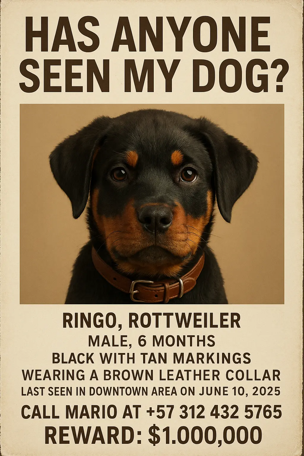 Missing Poster template for a Rottweiler puppy with contact and reward details