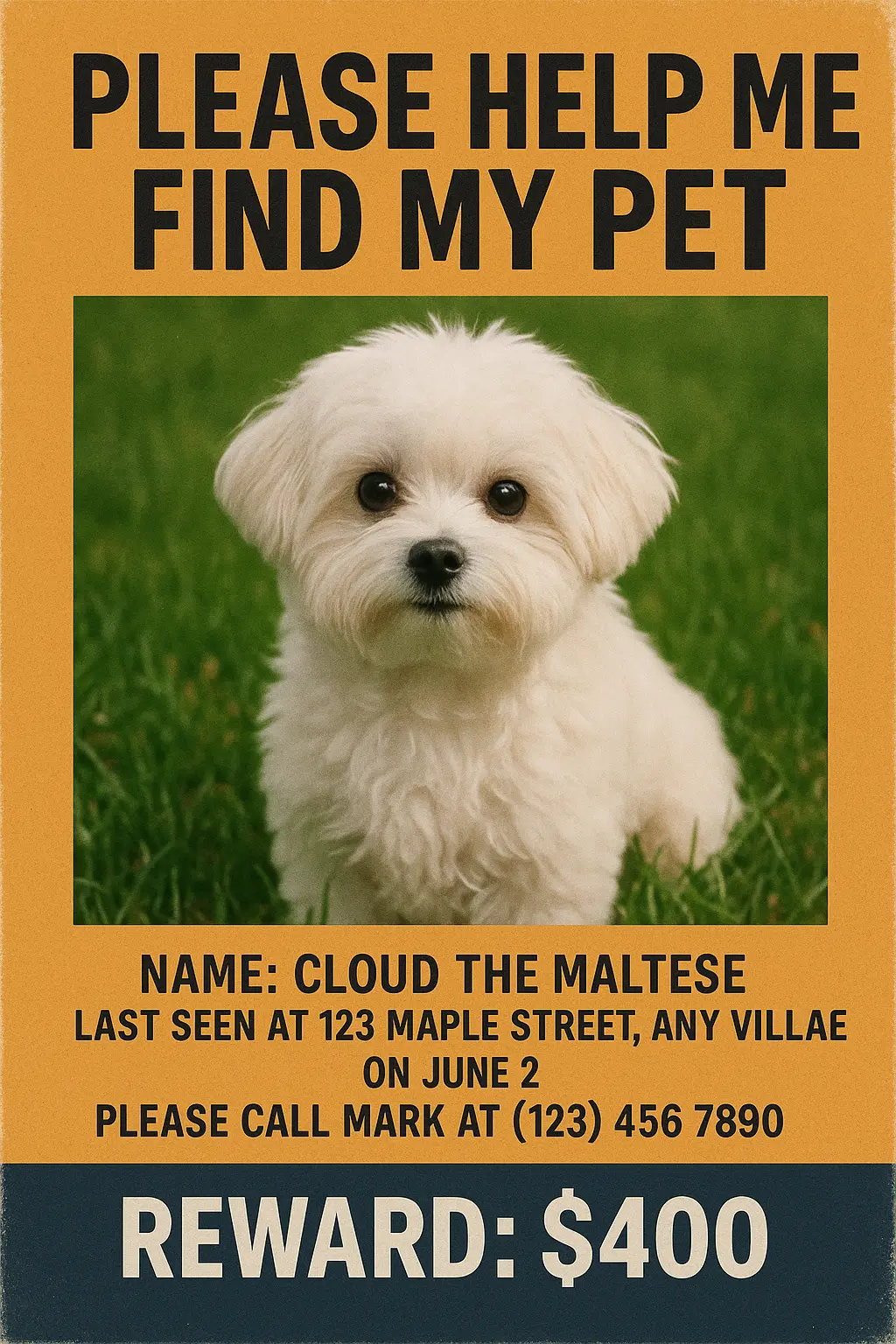 Missing Poster template for a Maltese dog with reward details
