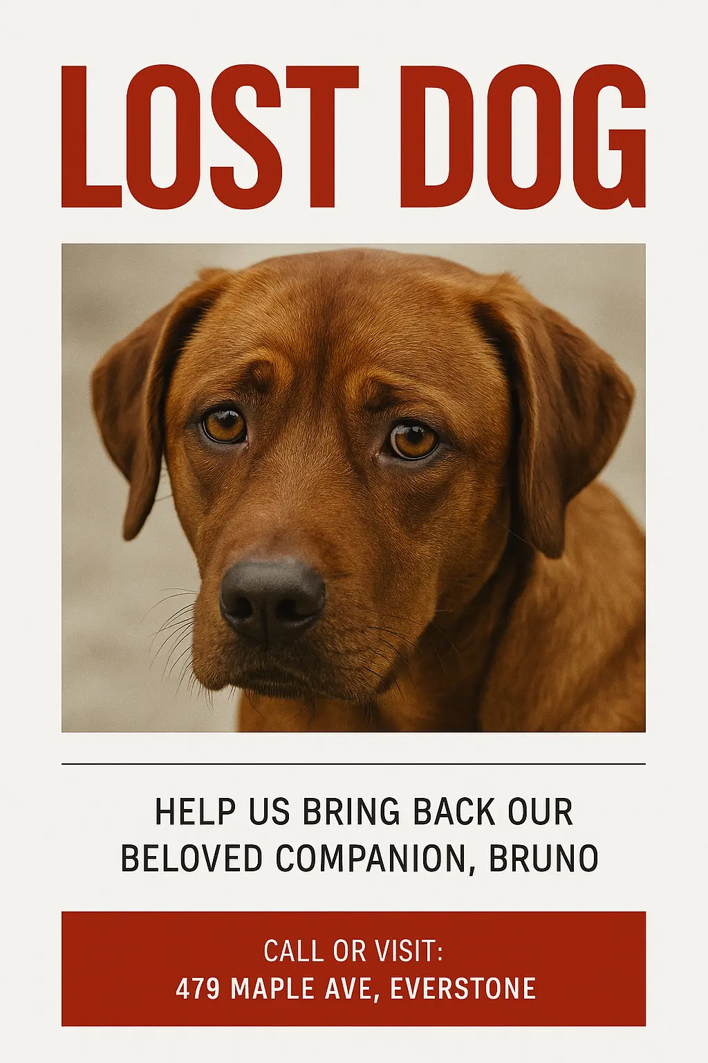 Missing Poster template with sad brown dog and bold red title