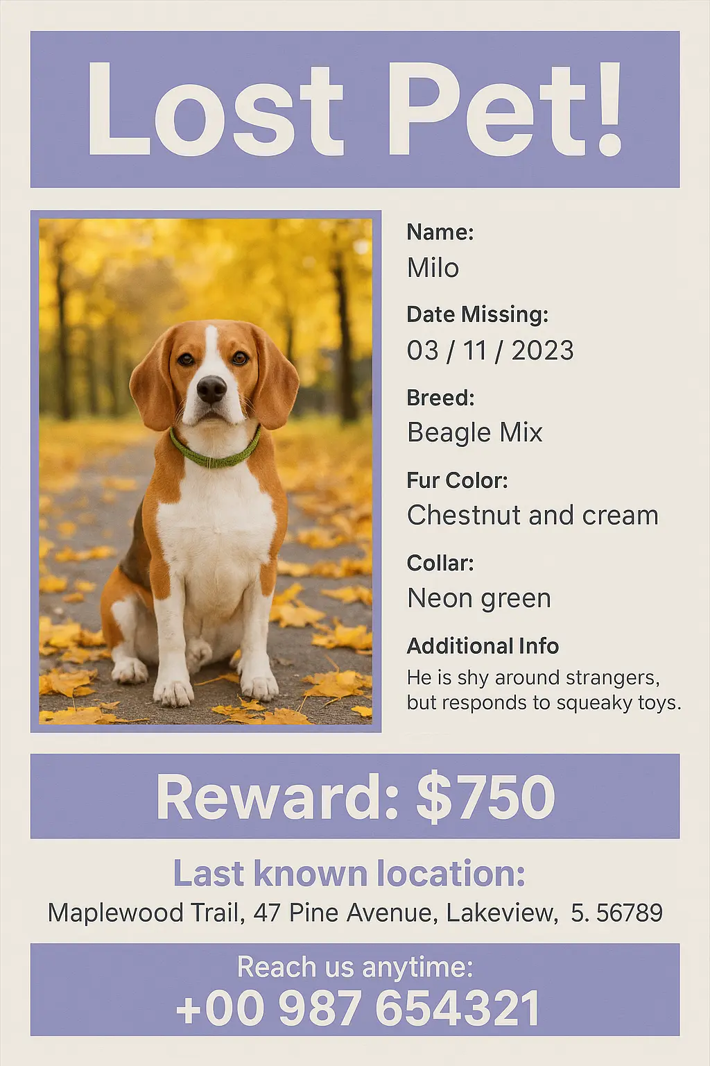 Missing Poster template with lost beagle and reward offer