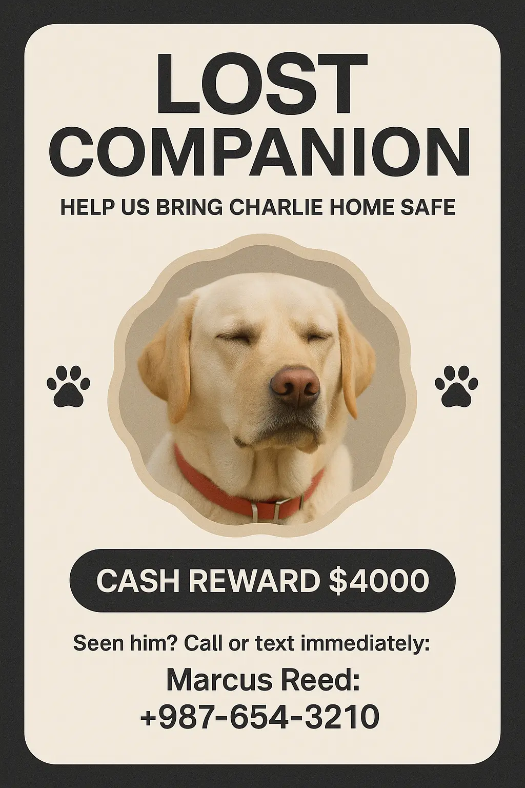 Missing Poster template featuring lost Labrador with reward notice