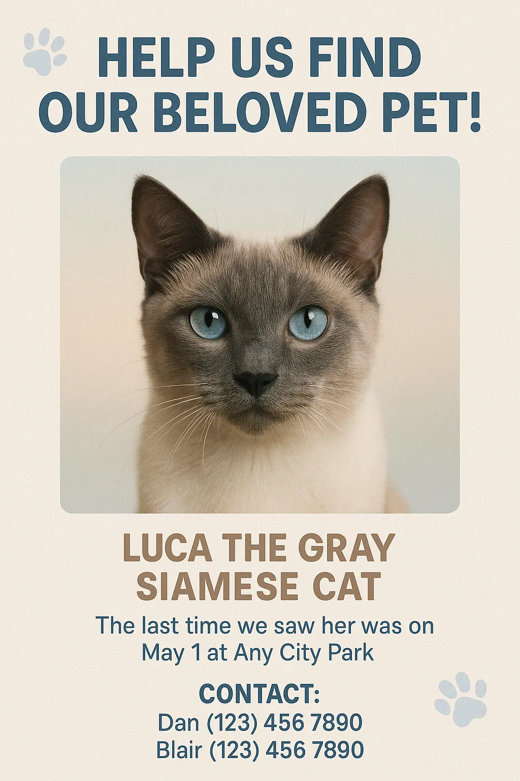 Missing Poster template featuring a Siamese cat with contact details