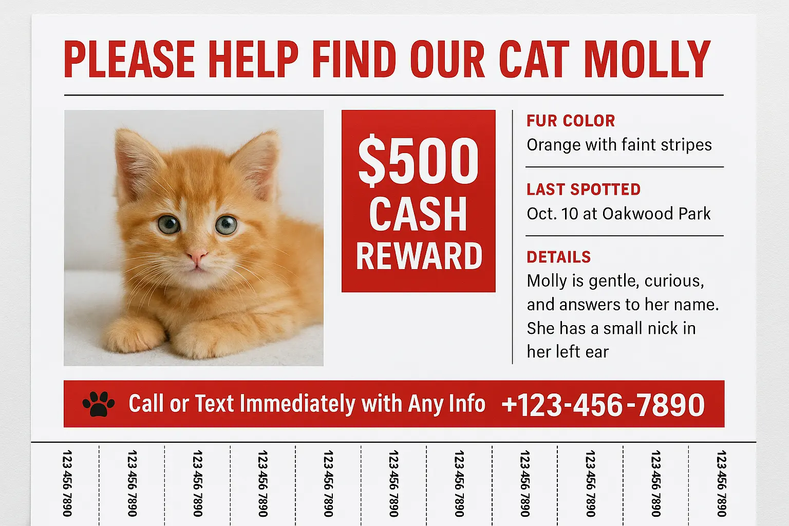 Missing Poster template with a smiling boy and contact details.